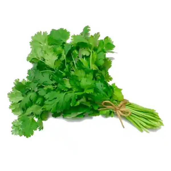 Waruwa Cilantro