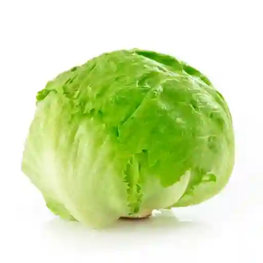 Lechuga Batavia