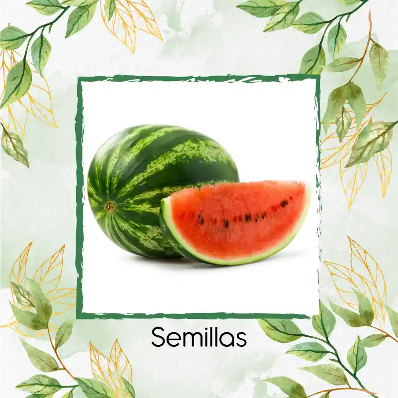 Organic 40 Semillas As De Fruta Sandia Jubilee