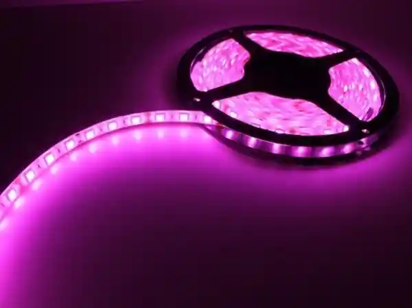 Rollo Led Genérico Luz Morada Por Metro