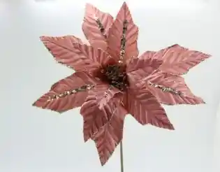 Hojas Poinsettiarayada Escacarchada Palo De Rosa