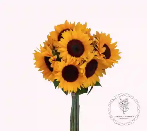 girasoles para tu hogar