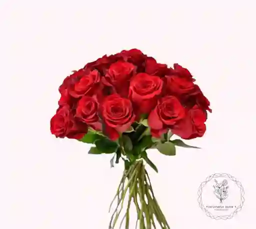 rosas para tu hogar