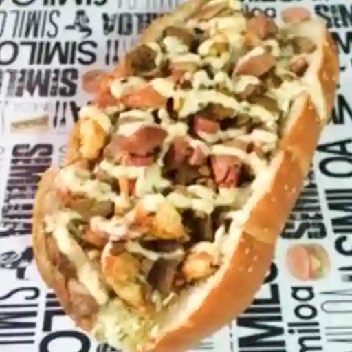 Perro Especial