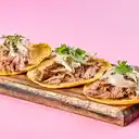 Taco Carnitas