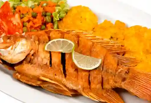 Mojarra Frita