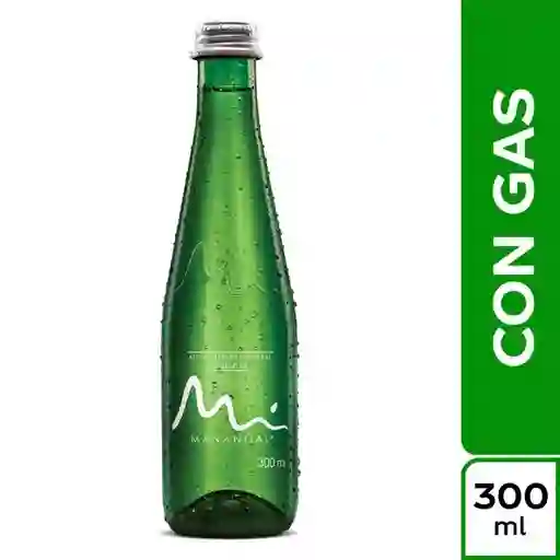 Agua con Gas 300 Ml.