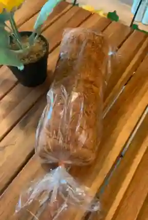 Pan de Coco