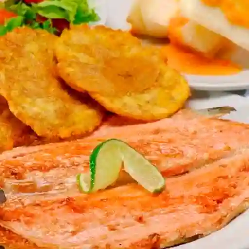 Salmón en Salsa de Queso