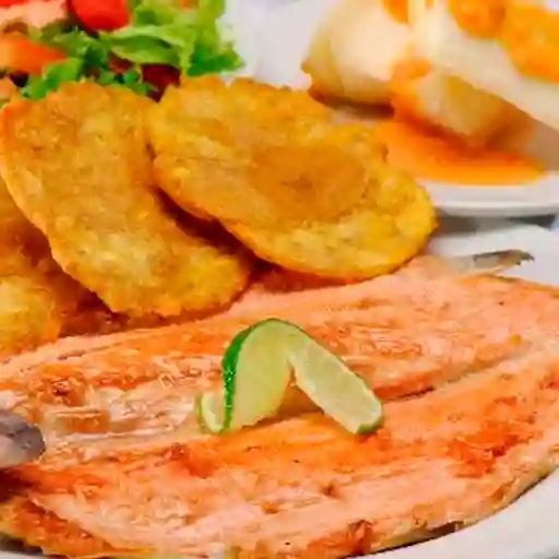 Salmón en Salsa de Camarón