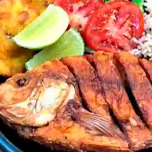 Mojarra Frita