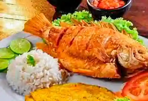 Mojarra