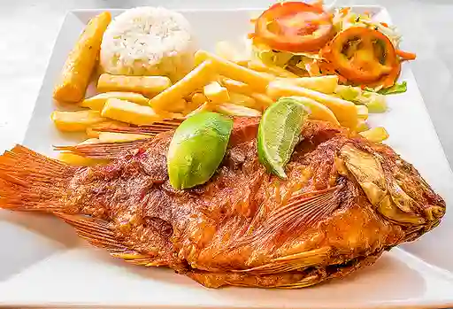 Mojarra