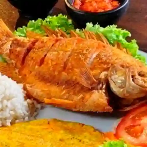 Mojarra