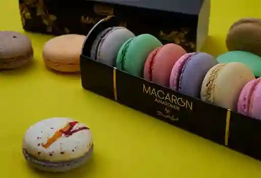 Macarons - Caja Anatomie