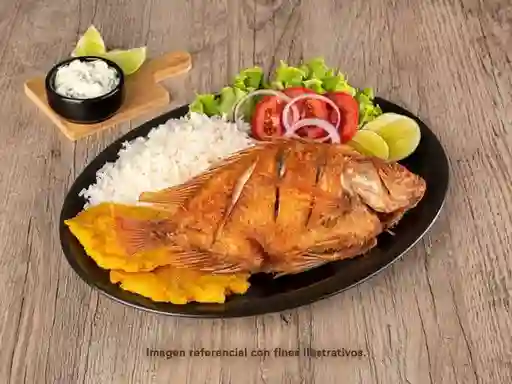 Mojarra Especial