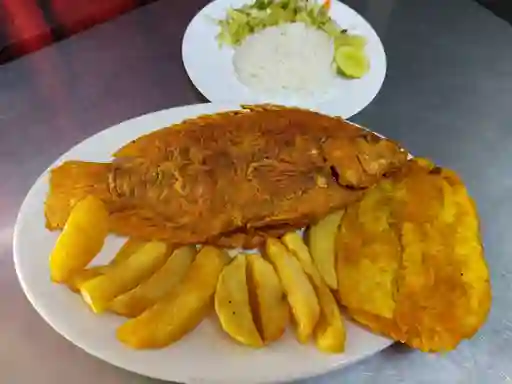 Tilapia Frita