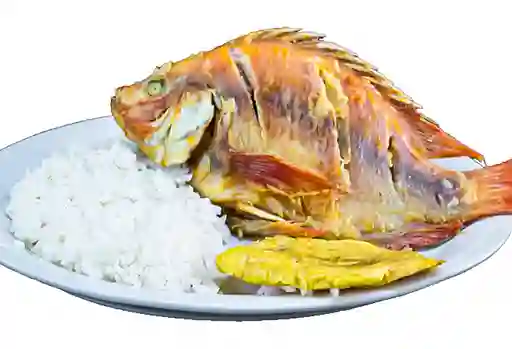 Bandeja con Mojarra