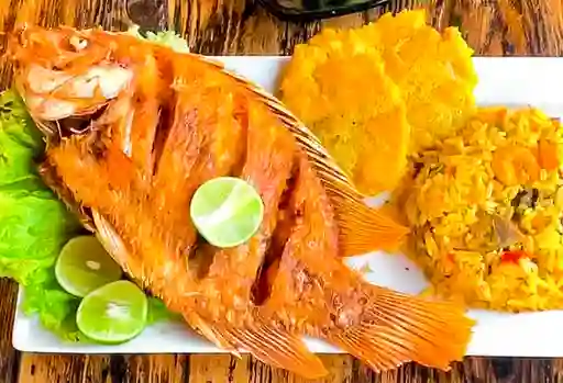 Mojarra