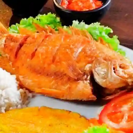 Mojarra Frita