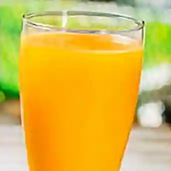 Jugo de Mango en Agua 16 Oz