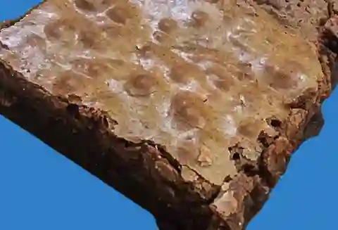 Mini Box de Brownie X8