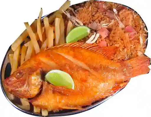 Combo Mojarra