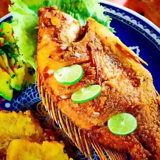 Mojarra Dorada