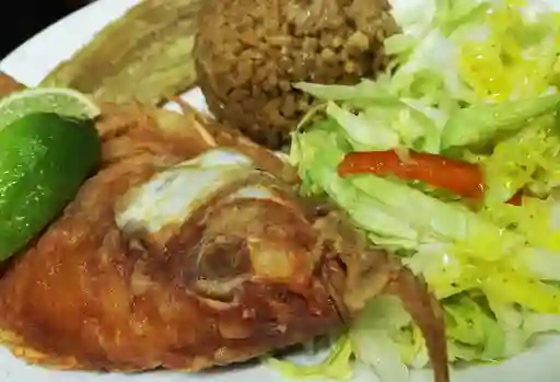 Mojarra 500 gr