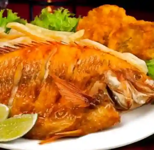 Mojarra Frita