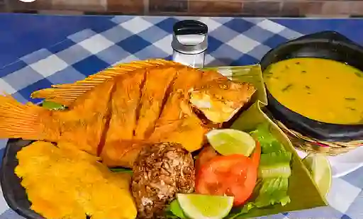 Tilapia Frita