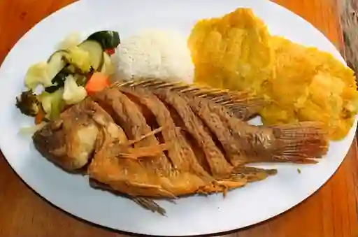 Tilapia Frita