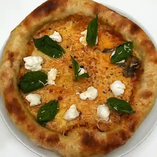 Pizza Margarita