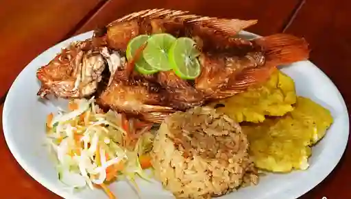 Mojarra Frita