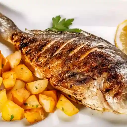 Mojarra