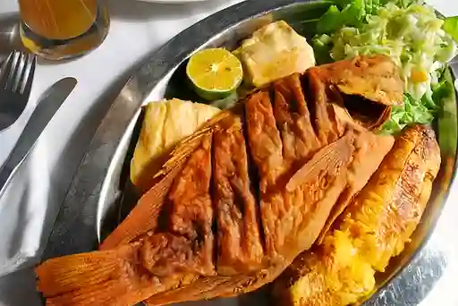 Mojarra Frita