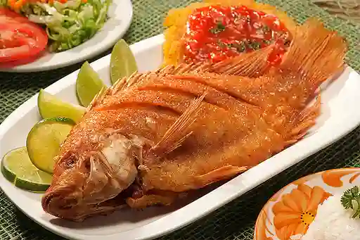 Mojarra