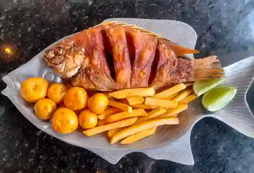 Mojarra