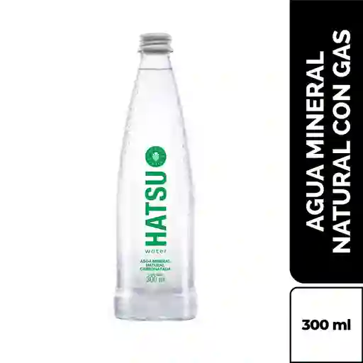 Hatsu Mineral Con Gas 300 ml