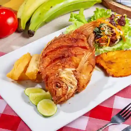 Mojarra Frita