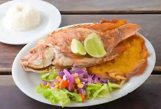 Mojarra Frita