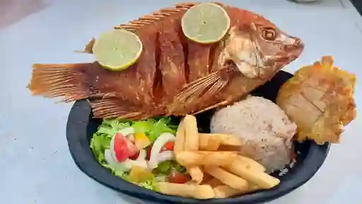 Mojarra Frita