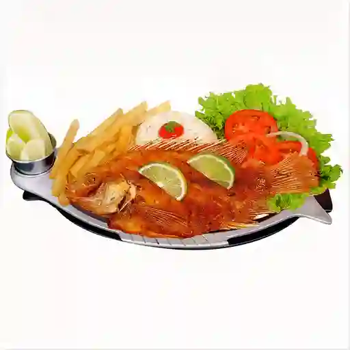 Mojarra