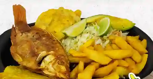 Tilapia Frita