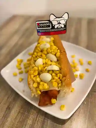 Perro Criollo