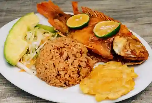 Tilapia Frita