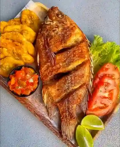 Mojarra