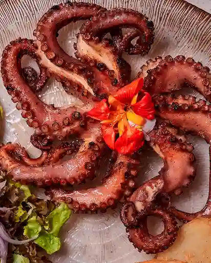 Pulpo a la Parrilla