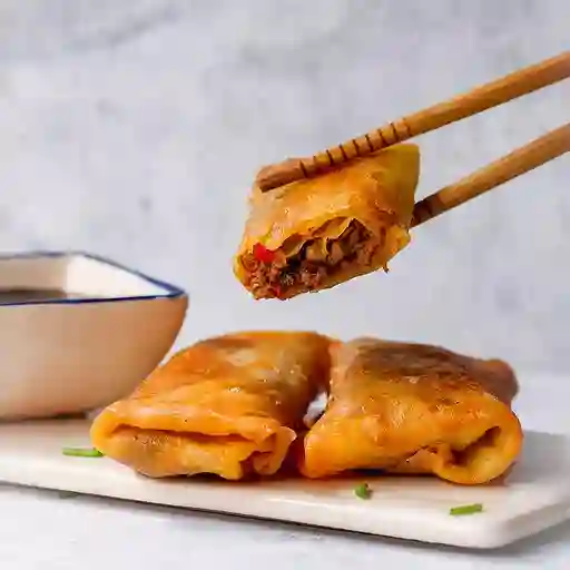 Empanada China de Pollo con Vegetales