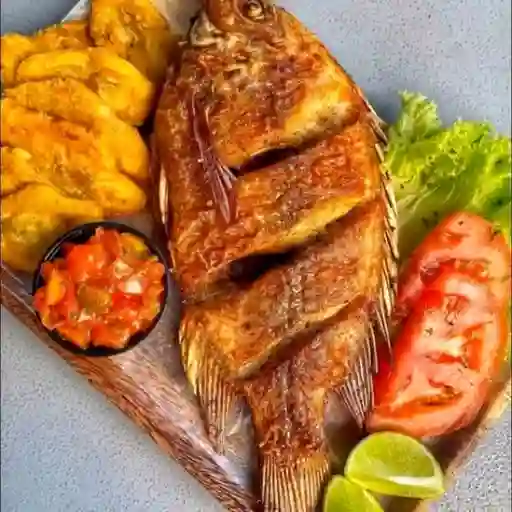 Mojarra